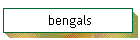 bengals